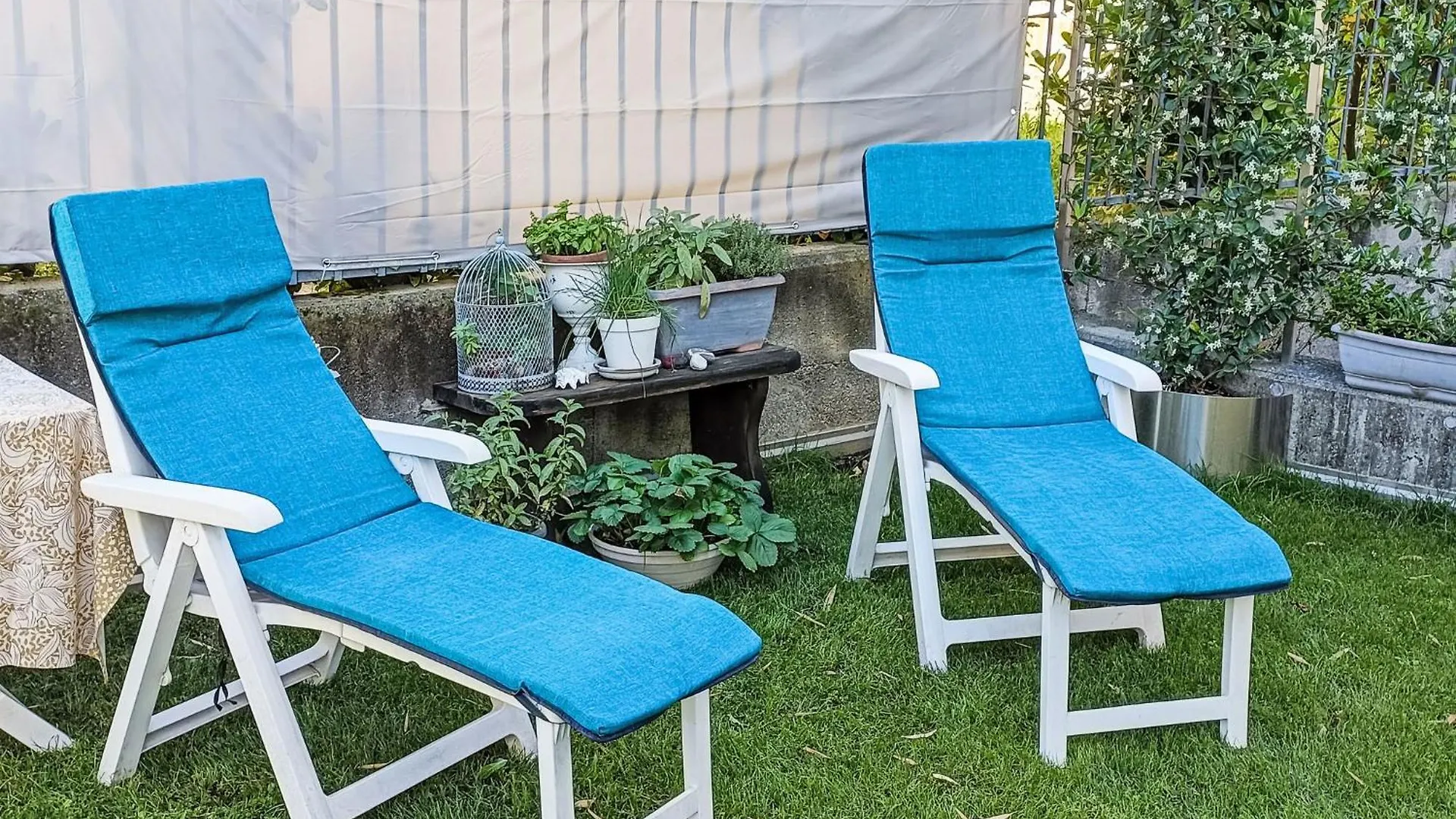 Apartment Olmo Garden Apartment By Interhome Morbegno